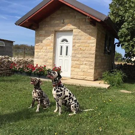Apartmán Dalmatina *
