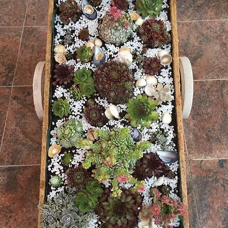 Dalmatina 아파트